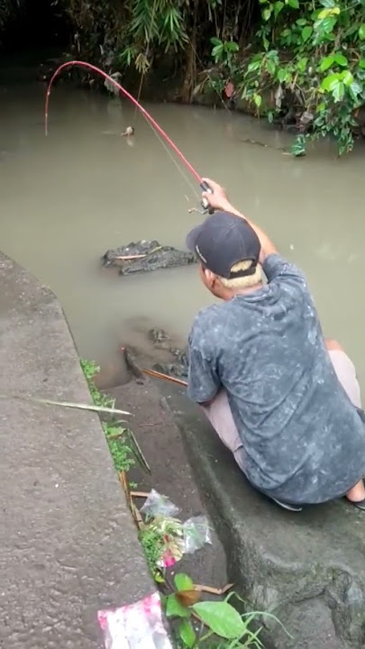 keseruan mancing udang galah di sungai bersama teman 👍