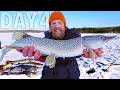 Invasive Species Pike Catch  and Cook | Maine Arctic Blast Survival Challenge Day 4 of 7 Overnight!