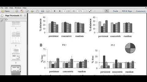 Morris water maze experiment