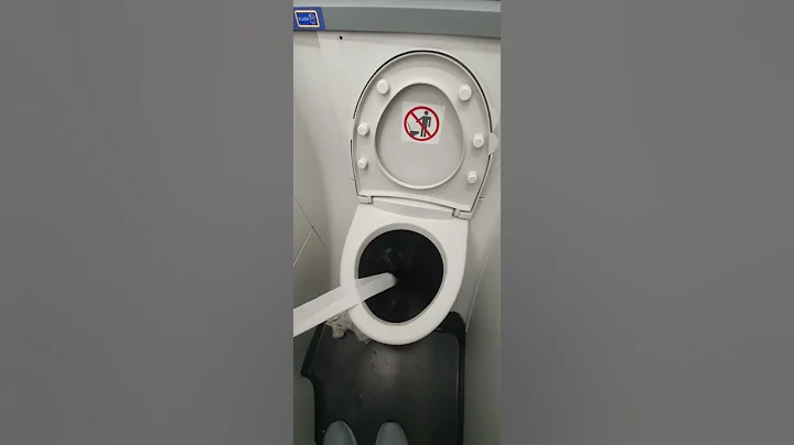 Airplane Toilet Paper Flush 2 (FAIL) - DayDayNews