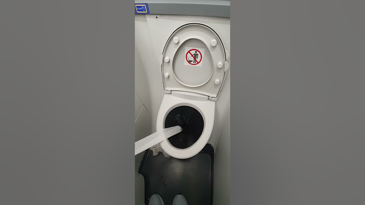 Airplane Toilet Paper Flush 2 (FAIL)