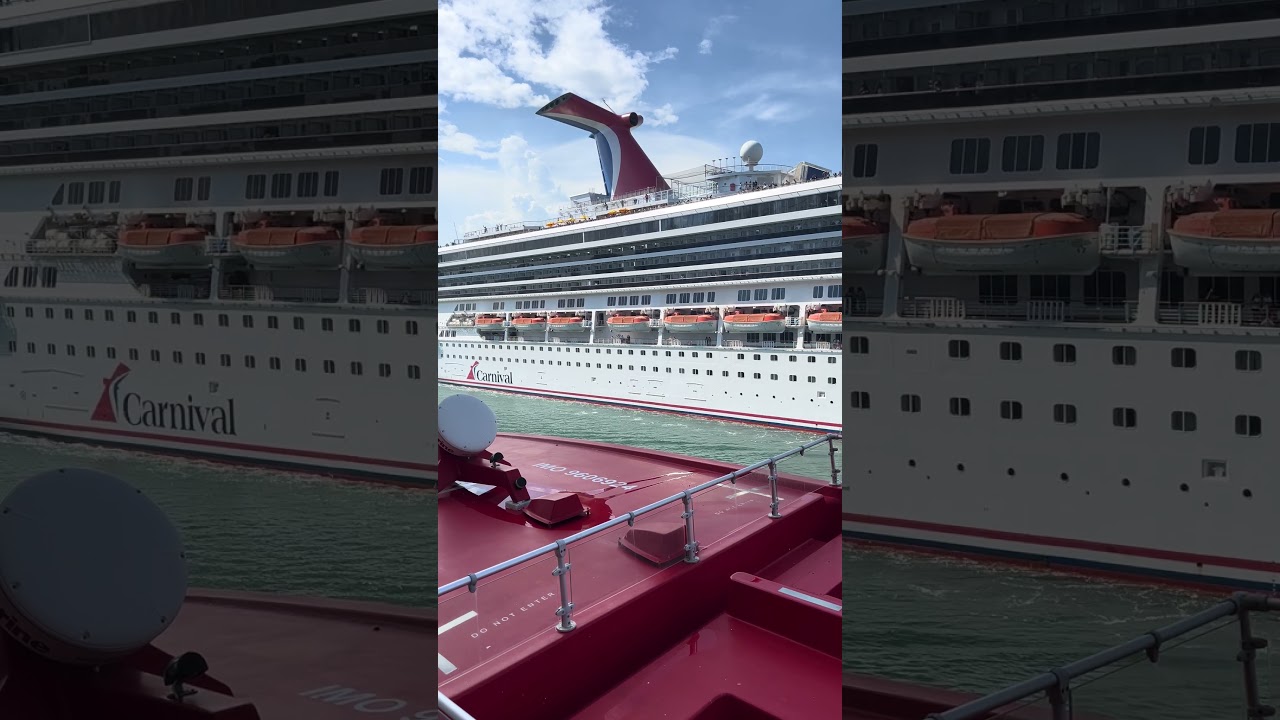 When cruise ships meet…