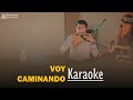 Voy caminando(Karaoke)