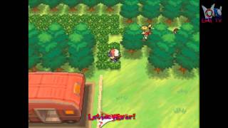 Pokémon White - Latias and Latios animations!
