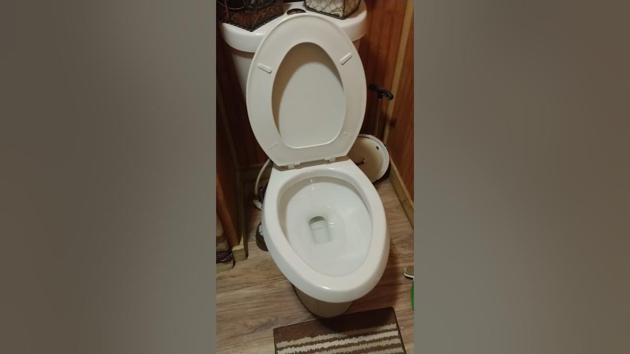 glacier bay dual flush toilet not flushing properly. do not replace