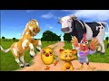 El Pollito y el Tractor de la Granja | Escapando del Toro y del Pollito| La Granja de Zenón La Vaca