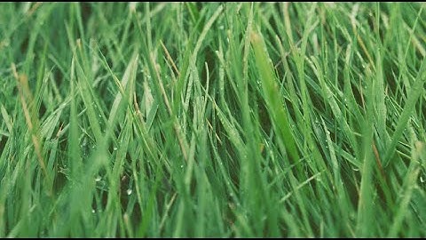 Responsividade VCL, Ancoragem