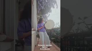 Очищення простору бубном з Віола Діанова