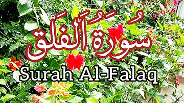 SURAH FALAQ | (سورة الفلق) ✨ Surah Al-Falaq By Saman Mustafa 