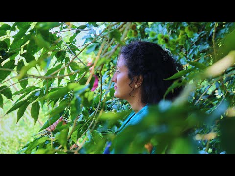 Poorna - The nature girl - A food of ancient robusts |breadfruit|දෙල් නොවූ දෙල්| Poorna - The nature girl |