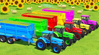 CUT SUNFLOWERS, MAKE CHAFF & TRANSPORT SHEEPS WITH FORAGE HARVESTERS & TRACTORS  FS22