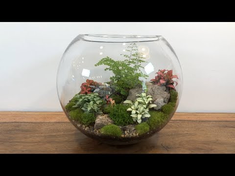 Making glass terrarium in the easiest way.