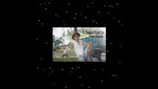 ULIAN HARTA - EKA SUSILA ( Musik Video)