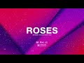 (FREE) | "Roses" | Bad Bunny x Ozuna x Drake Type Beat | Free Beat | Dancehall Pop Instrumental 2019