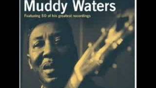 Muddy Waters - I'm Ready