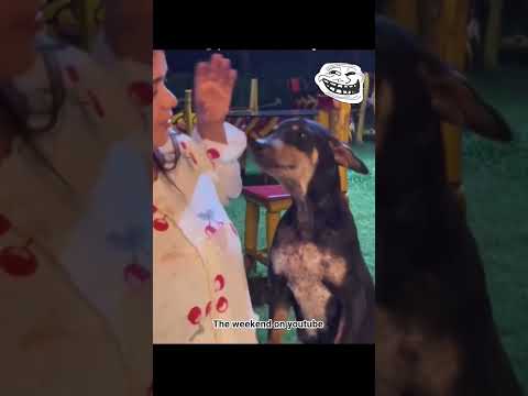 Eruki Anachi Oru Umma Tarum Trending Funny Comedy Shorts Shortsfeed Youtubeshorts