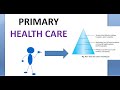 Psm 931 primary health care level attributes elements components principles definition