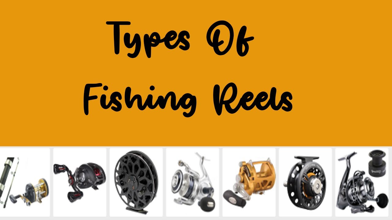 Different Types Of Fishing Reels English Vocabulary Youtube Different Types Of Fishing Reels English Vocabulary Youtube