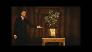 Video voorbeeld van "The Illusionist Soundtrack - The Orange Tree"