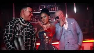 Pitbull x Daddy Yankee x Natti Natasha - No Lo Trates