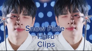 Haru 🐻‍❄️ ❄️ Snow Pixie Clips 