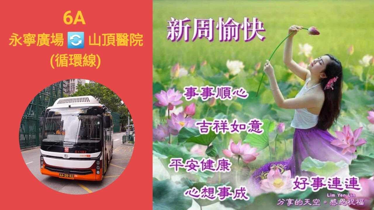 Macau Bus TCM E1192 @ 6A 澳門公共汽車股份有限公司 Zhongtung LCK6759SHEVG 永寧廣場 山頂醫院 永寧廣場