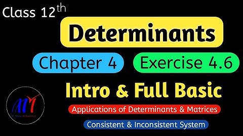 Chapter 4 Determinants Exercise 4.6 ( Intro & Full Basic ) Class 12 Maths | NCERT Solutions