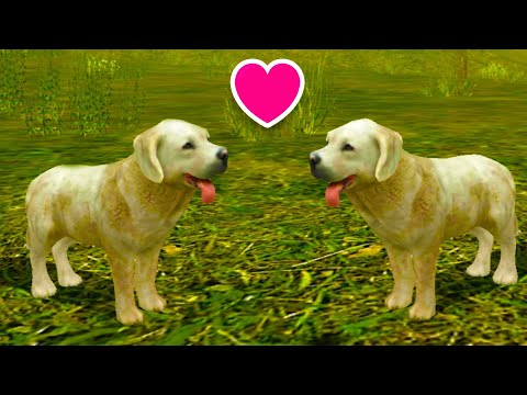 СИМУЛЯТОР СОБАКИ #1 ПЕС нашел СВОЮ ЛЮБОВЬ в игре Dog Sim