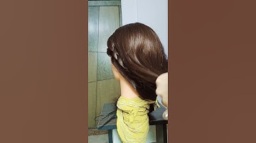 Easy Waterfall Hairstyle using a Braid Technique #WaterfallBraid #Braids #fyp #foryou #shorts
