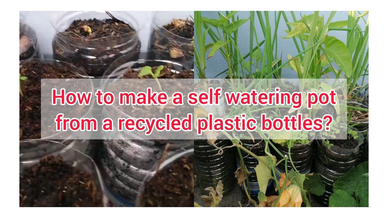 How to make a recycled plastic bottle into a self self-watering pot ...