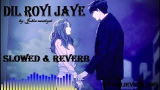 DIL ROYI JAYE 💔💔😢(Slowed And Reverb) Lofi Remix For Chill/Study/Relaxing ~‎@Believe in Lofi