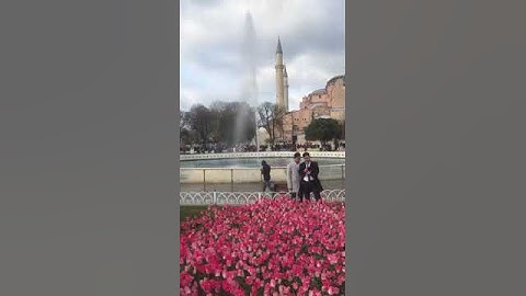 Musim Semi 2023 di Türkiye #musimsemi #türkiye #istanbul #travel #wisata #bluemosque #ayasofya#tulip