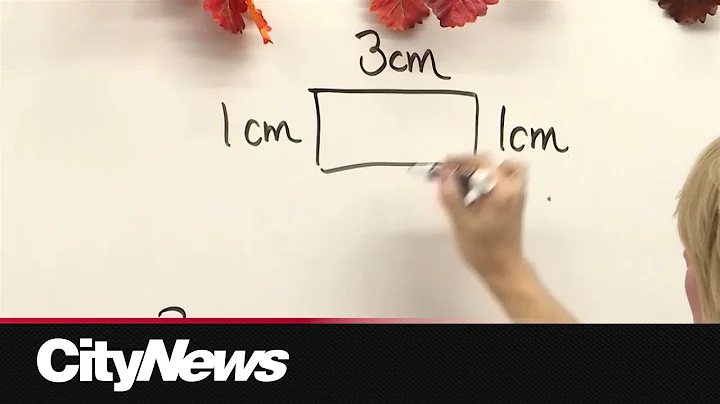 Education minister hiring advisors to examine 'disappointing' EQAO results