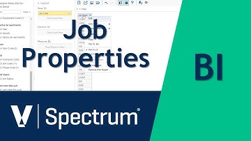 Spectrum BI Job Properties