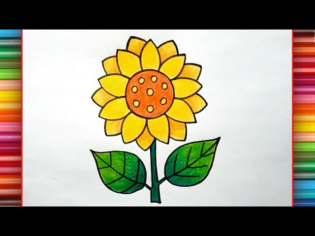 Sunflowers Clip Art Hand Drawn Sunflower Sunflower PNG - Etsy