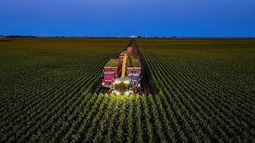 Corn Silage Harvest into the Night at Stone Ridge Dairy