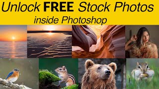 Unlock Free stock photos inside Photoshop with Pexels plugin screenshot 5