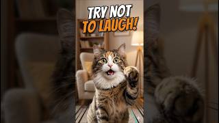 Try Not To Laugh: Ultimate Funny Cat Fails &amp; Cute Moments 😹