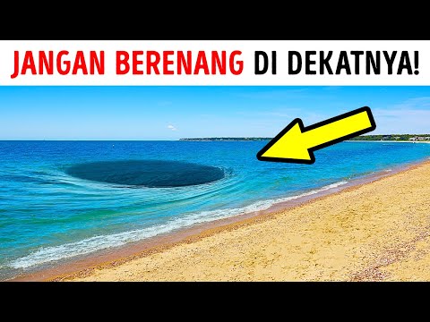 Video: Dia Melihat Kantung Sampah Bergerak Dan Apa Yang Di Dalamnya Merusak Hatinya