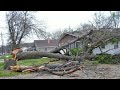 Dangerous Idiots Tree Felling Fails Compilation With Chainsaw, Removal Fails Tree Falling On Houses