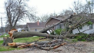 Dangerous Idiots Tree Felling Fails Compilation With Chainsaw, Removal Fails Tree Falling On Houses