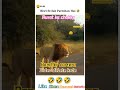 danger lugaii🤣#reels#viral#trending#shorts#funny#memes#youtubeshorts#video#viralvideo#cat#cute#love