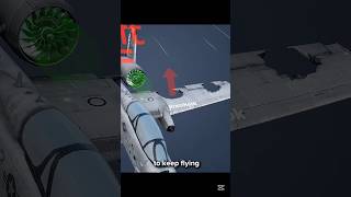 Why The A-10 Never Falls?