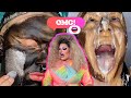 Drag Queen Reacts To THE CRAZIEST MAKEUP TRANSFORMATIONS