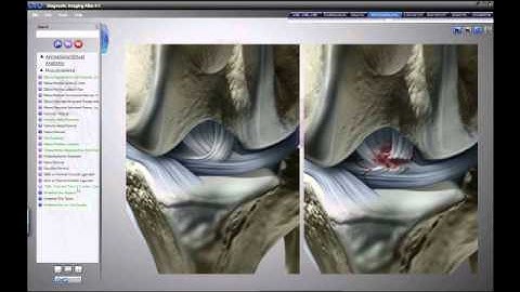 DIA diagnostic imaging atlas ecdveterinaria