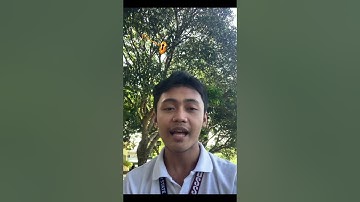 Video Reflection Module 7 Polizing the Internet