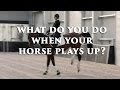 What Do You Do When Your Horse Plays Up? - FearLESS Friday TV Ep 25