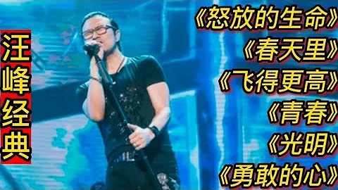 汪峰經典歌曲《怒放的生命》《春天裡》《飛得更高》《勇敢的心》 - 天天要聞