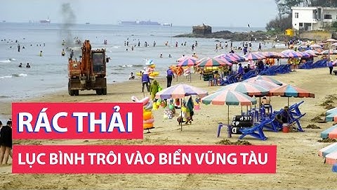 Lục bình ngập tràn bãi tắm Vũng Tàu