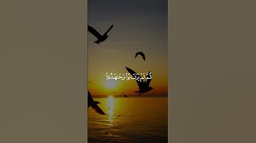 تلاوة خاشعة للشيخ أحمد بن طالب – سورة الحجرات - قرآن كريم #قرآن